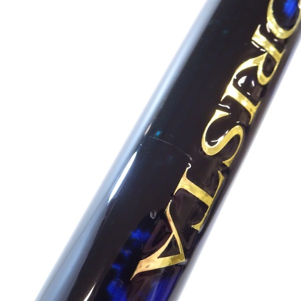 ２１アオリスタ５００